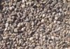 Tasmanian Stone Small
