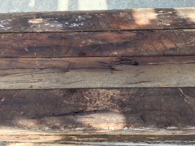Garden Sleepers
